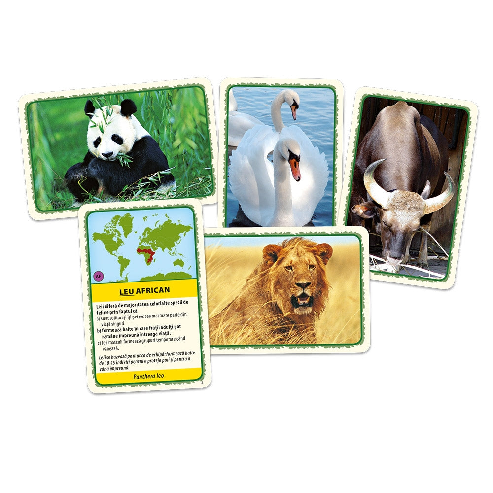 Joc Tactic - Animalele lumii