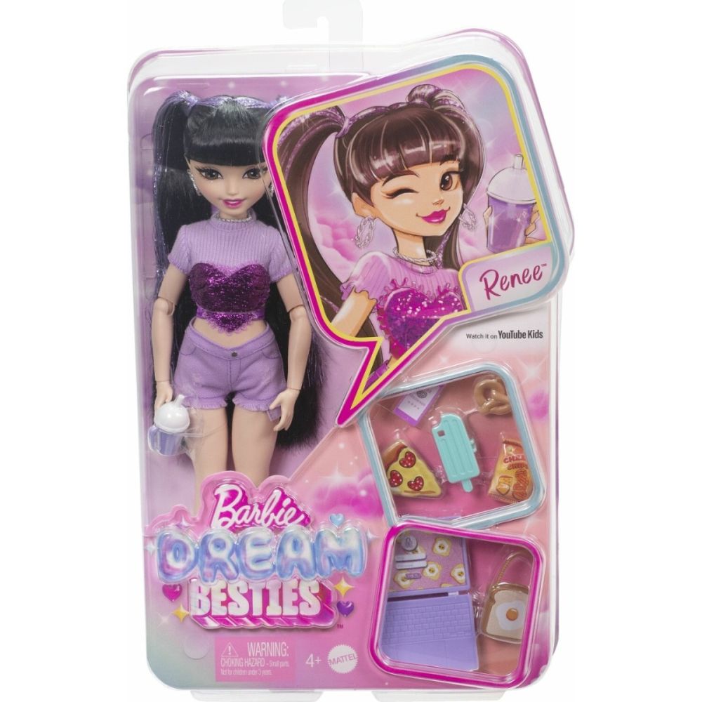 Papusa cu accesorii Barbie Dream Besties - Renee 29cm