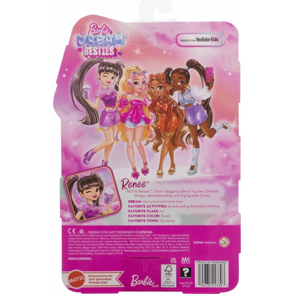 Papusa cu accesorii Barbie Dream Besties - Renee 29cm