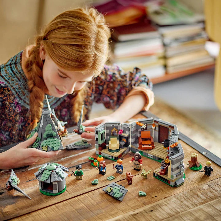 LEGO Harry Potter 76428 - Coliba lui Hagrid: o vizita neasteptata (896 piese)