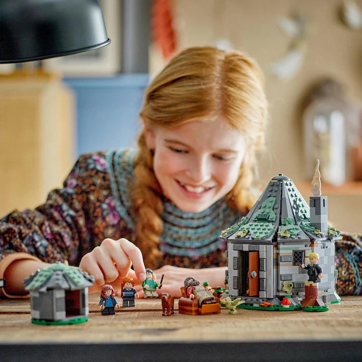LEGO Harry Potter 76428 - Coliba lui Hagrid: o vizita neasteptata (896 piese)